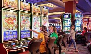 Pemain merayakan kemenangan di ss1 platform sportsbook dan live casino
